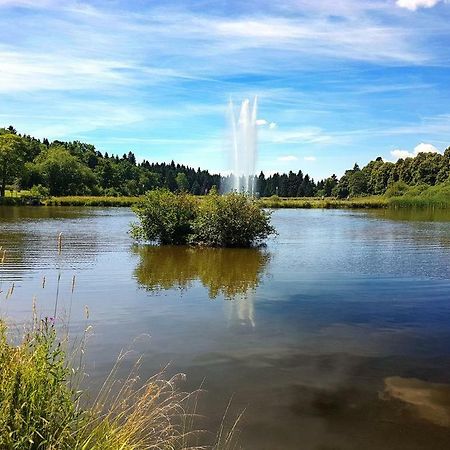 גוסלר Ferienappartement Balbiani Hahnenklee-Harz מראה חיצוני תמונה
